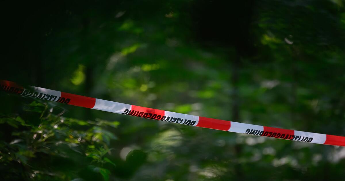 Missing man (52) from Hersbruck found dead in wooded area