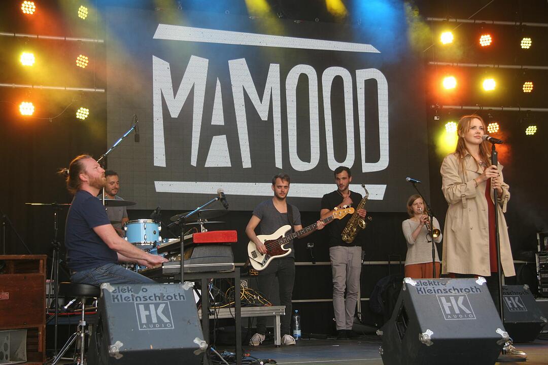 Stadtfest Kitzingen (2)