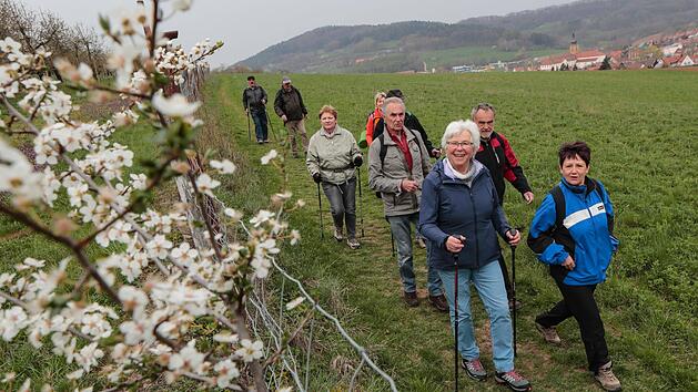 Auch beim Gesundheitswandern spielt die schöne Landschaft eine Rolle: Die Fränkische Schweiz bezaubert mit ihren Kirschblüten.  Foto: Matthias Hoch