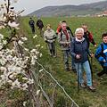 Auch beim Gesundheitswandern spielt die schöne Landschaft eine Rolle: Die Fränkische Schweiz bezaubert mit ihren Kirschblüten.  Foto: Matthias Hoch
