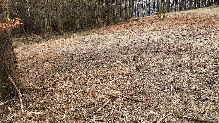 Hier stand eine Wacholderhecke in der Nähe der Burg Feuerstein. Foto: BN