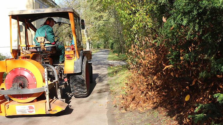 Foto: Barbara Herbst