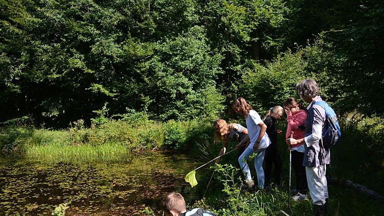 Selbst etwas suchen und finden, das begeistert die Kinder, dann schauen sie auch genauer hin. Foto: Elisabeth Assmann