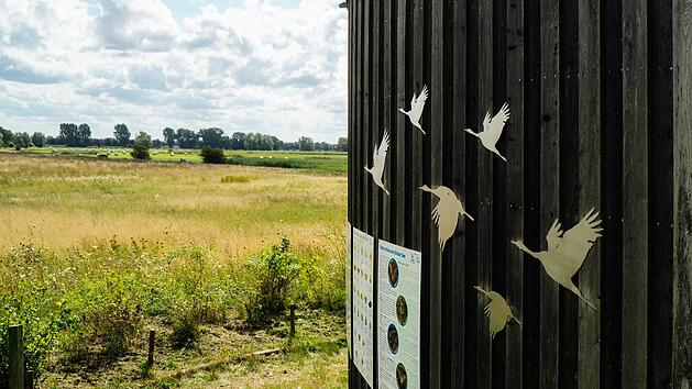 Kranichwelten in G&uuml;nz: Neues Nabu-Zentrum begeistert mit interaktiven Erlebnissen