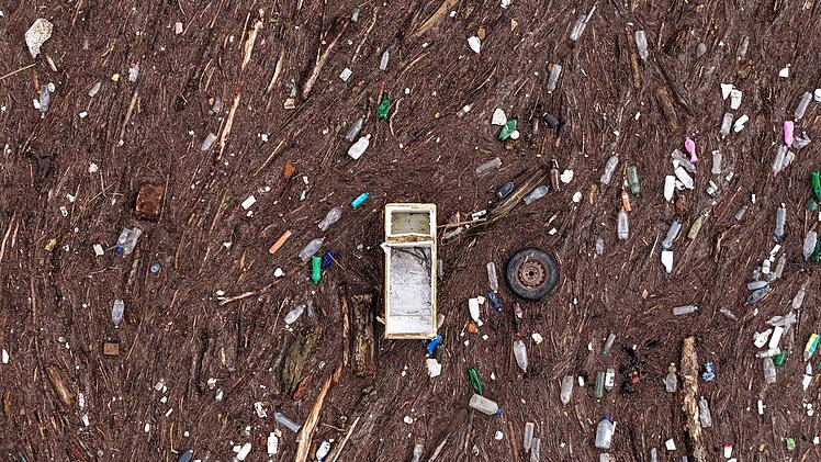 Bericht: Ohne Naturschutz riskieren Unternehmen ihre Zukunft