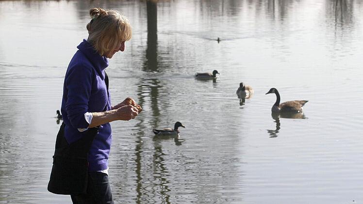 Naturidylle am Naherholungsgebiet Oberauhof. Foto: Jochen Nützel