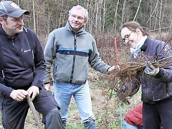 Vereinsmitglieder, Mitarbeiter und auch die Unternehmensgesellschafter Dorothea Lehmann (rechts) und Michael Rauh (links) pflanzen gemeinsam 800 Schwarzerlen auf einer Waldlichtung bei Hallerndorf. Förster Matthias Jessen (Mitte) steht beratend dabei zur Seite.  Foto: Mathias Erlwein
