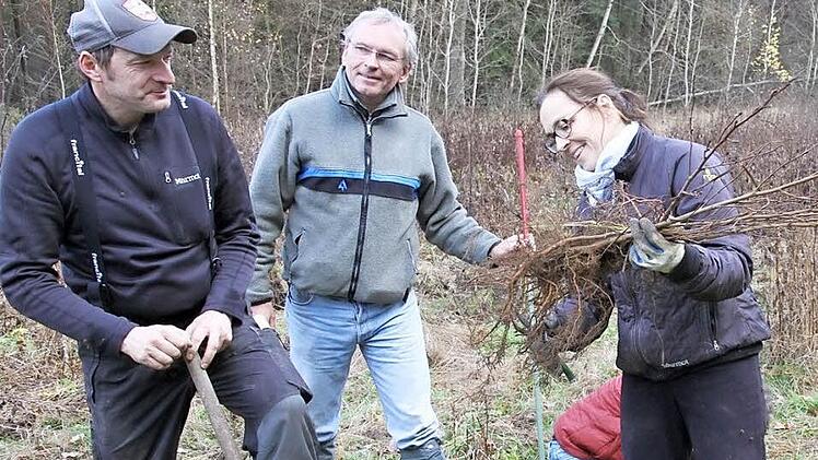Vereinsmitglieder, Mitarbeiter und auch die Unternehmensgesellschafter Dorothea Lehmann (rechts) und Michael Rauh (links) pflanzen gemeinsam 800 Schwarzerlen auf einer Waldlichtung bei Hallerndorf. Förster Matthias Jessen (Mitte) steht beratend dabei zur Seite.  Foto: Mathias Erlwein