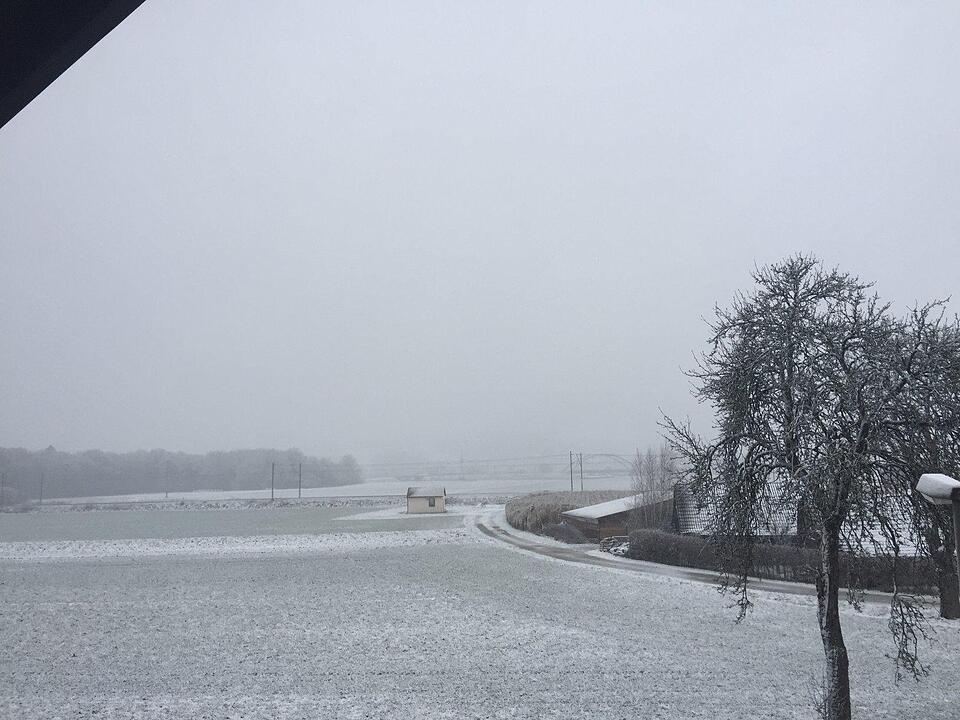 Schnee und Eis - Die schönsten Aufnahmen aus Franken