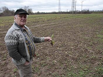 Landwirt Heinz Söhnlein ärgert sich über den Biber. Foto: Josef Hofbauer