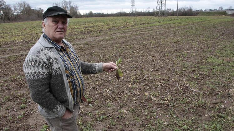 Landwirt Heinz Söhnlein ärgert sich über den Biber. Foto: Josef Hofbauer