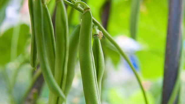 Symbolbild: Andrea Warnecke/dpa