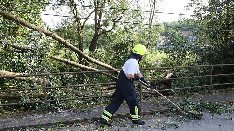 Da liegt der Baum in der Itz, ein Feuerwehrmann beseitigt Äste und Zweige.  Foto: Michael Stelzner