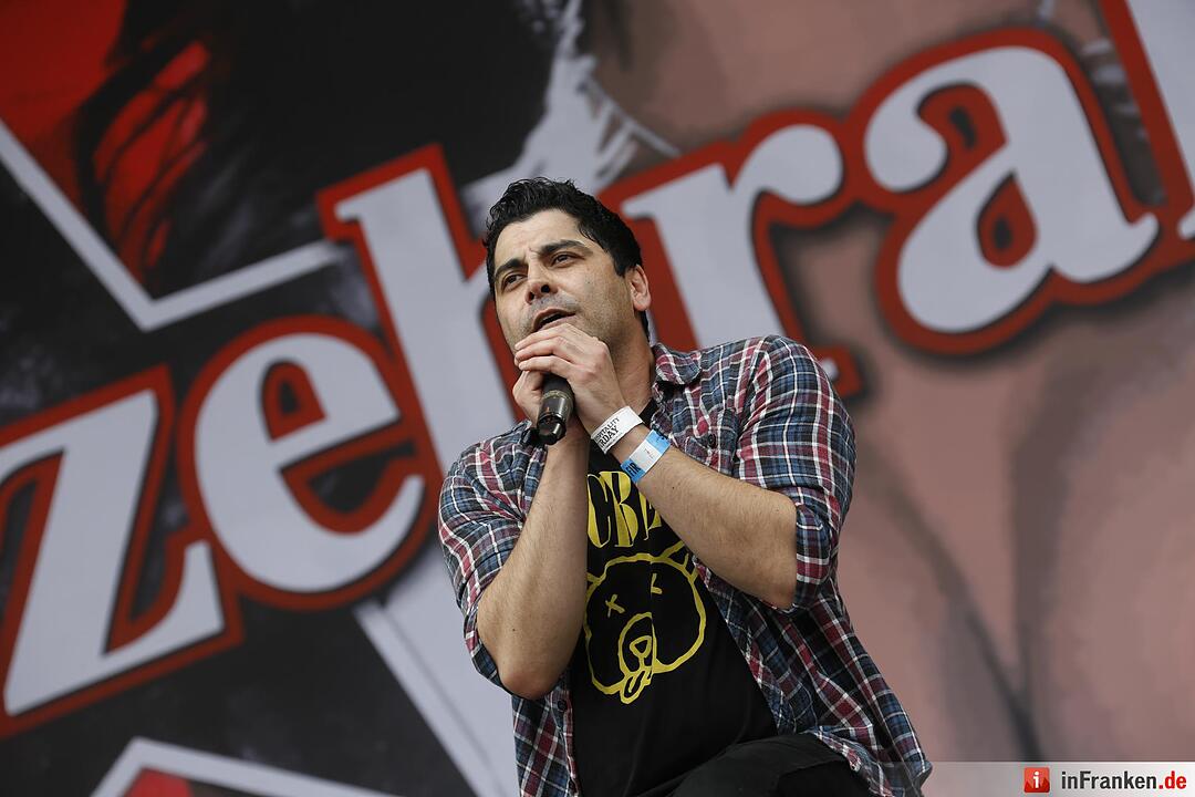RIP15 - Zebrahead