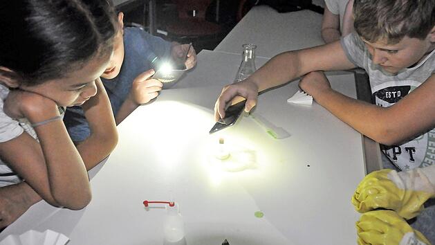 Am kommenden Mittwoch, 3. Oktober, findet am Jack-Steinberger-Gymnasium der diesj&auml;hrige Vivariumstag statt.  Foto: Agnes Brath