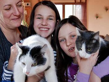 Vermissen ihre Katze Muffin: Melanie Potsch (von links) und ihre Töchter Lina (10, mit Kater Anton) und Rosalie (7, mit Katze Luna). Foto: Sigismund von Dobschütz