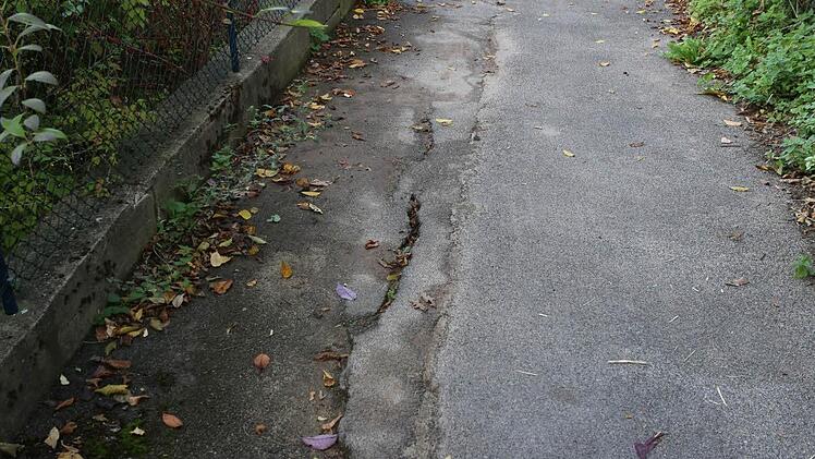 Das ist der Weg, der die Grundstücke trennt. Foto: Barbara Herbst