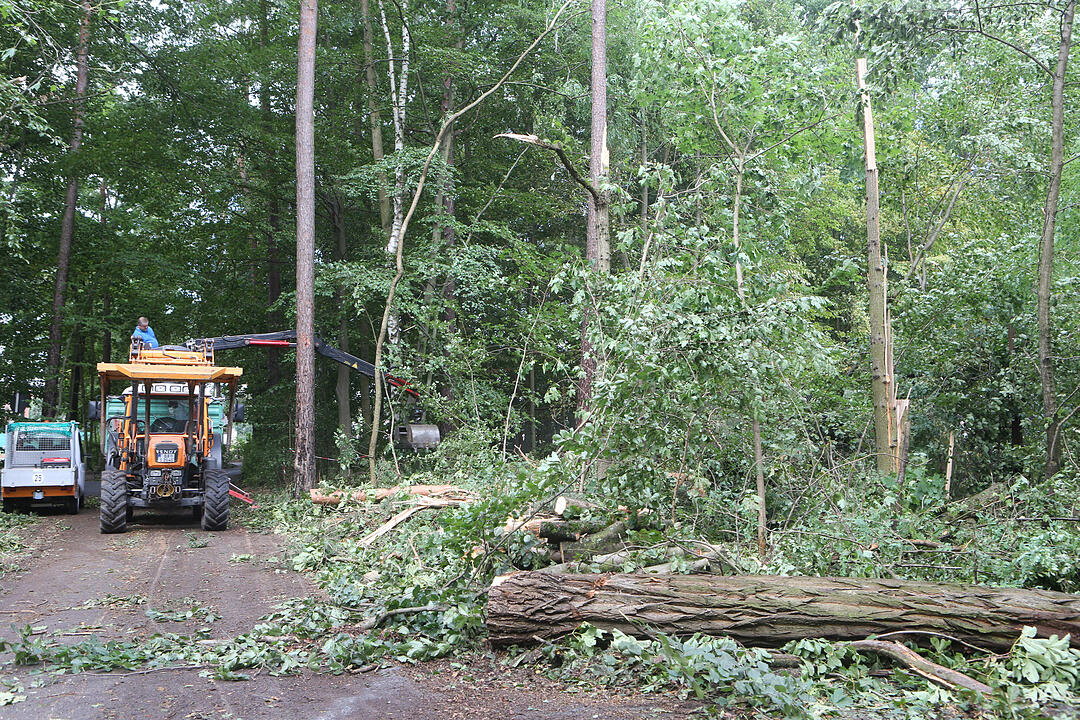 Aufraeumarbeiten in Bamberg nach schwerem Unwetter