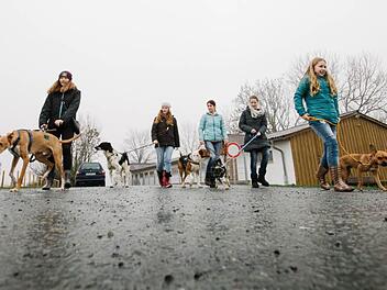 Fabienne, Jenny, Nadja Brosius-Glück, Lia-Marie und Florentine (von links) führen auch bei nasskaltem Wetter wie an diesem Tag Hunde des Kronacher Tierheims aus. Foto: Hendrik Steffens