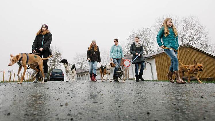 Fabienne, Jenny, Nadja Brosius-Glück, Lia-Marie und Florentine (von links) führen auch bei nasskaltem Wetter wie an diesem Tag Hunde des Kronacher Tierheims aus. Foto: Hendrik Steffens