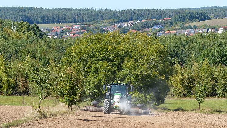 Daniel Firnkäs sät für die Bayerischen Staatsforsten Blumensamen in der Nähe des Waldkindergartens Hausen aus. Foto: Pauline Lindner