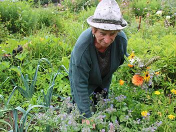 Irmgard Heinreich schneidet in ihrem Garten einen Zweig Borretsch für ihren Würzbüschel.  Fotos: Ronald Heck