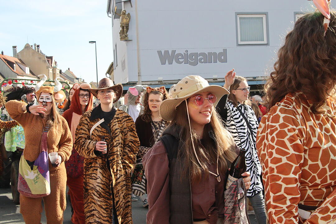Fasching 2025 in Unterfranken!