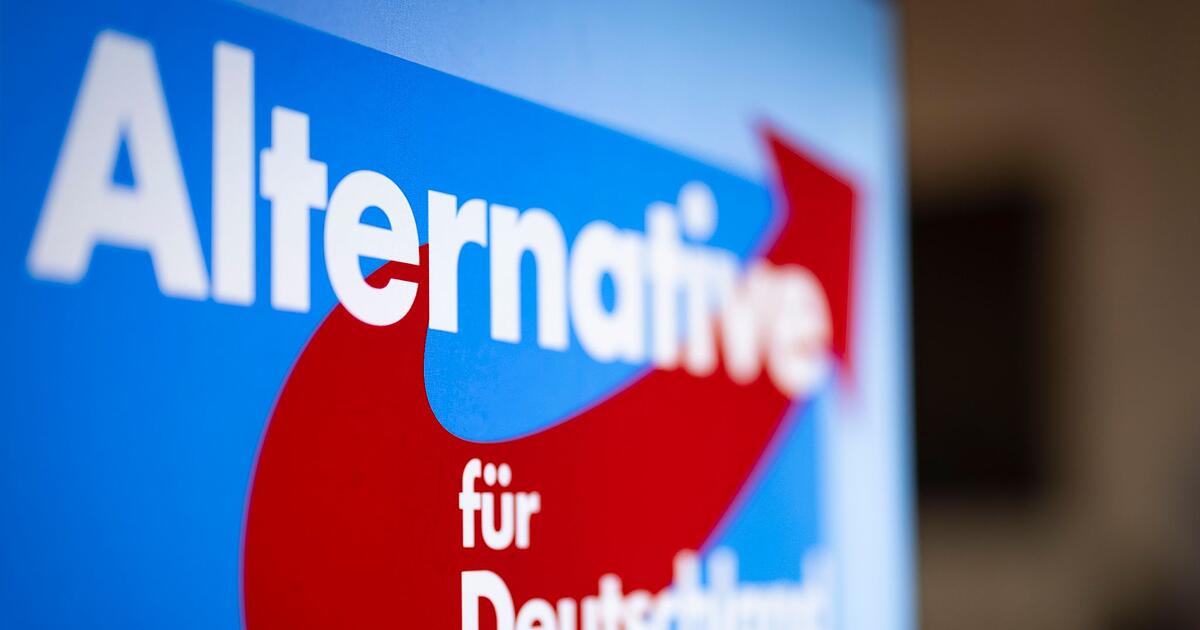 District council election in the Bamberg district: AfD records huge gains