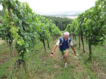 Michael Hench arbeitet sich beim Maintal-Ultratrail über 65 Kilometer auch durch die steilen Weinberge Fotos: privat