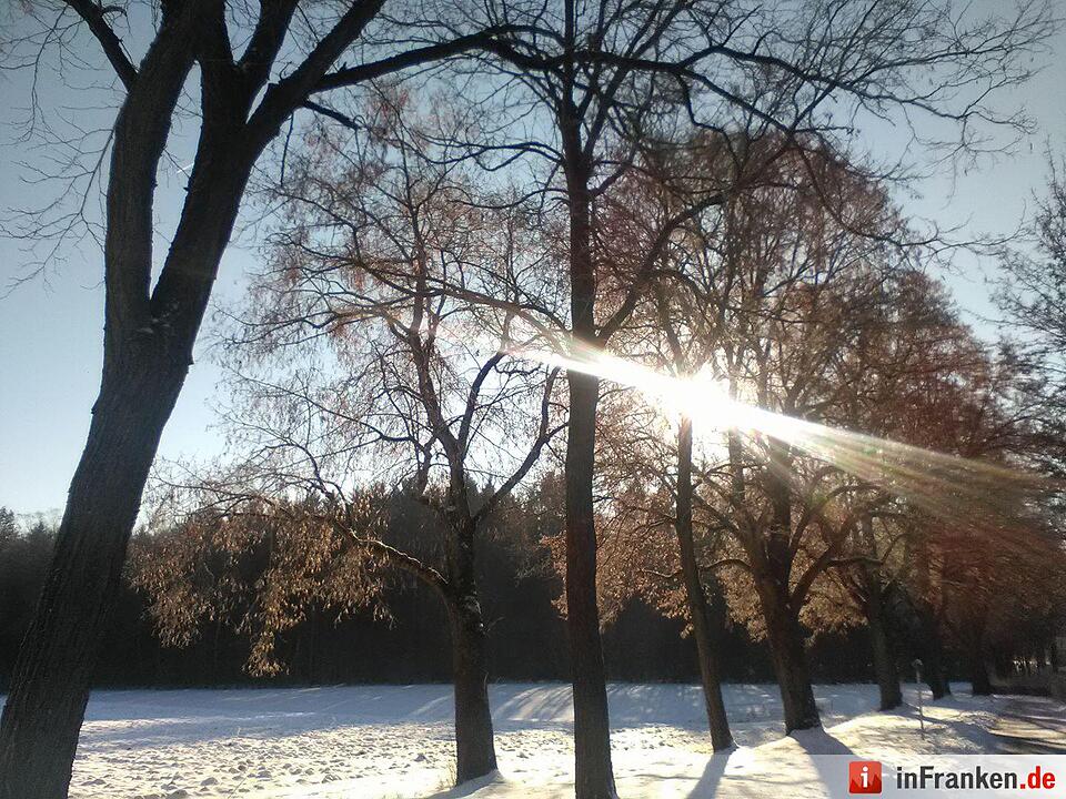 Eis und Schnee in Franken - die schönsten Winterleserfotos