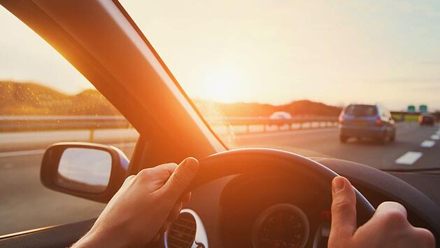 Ein Hund mit Magenproblemen verursachte in Bad Kissingen einen recht kuriosen Unfall. Symbolfoto: anyaberkut/Adobe Stock