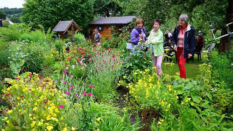 Helga Küspert (Mitte), zeigt unter anderm Kreisrätin Anita Sack (links) ihre Blumen.