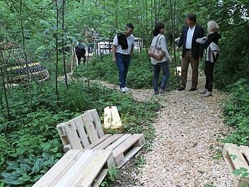 Die Holzplattform am illuminierten Itzufer waren bei den Designtagen 2016 die große Attraktion. Foto: CT-Archiv / Barbara Herbst