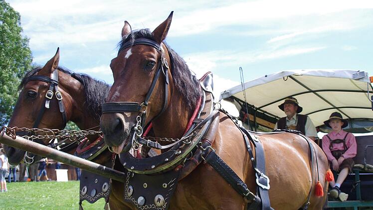 Tierheimfest in Kronach. Foto: Marco Meißner