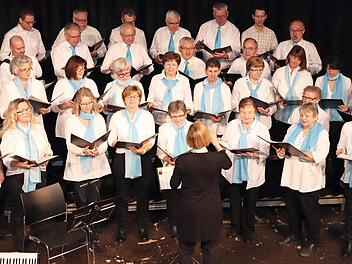 Der Liederkranz "Frohsinn Mühlhausen" unter der Leitung von Ingrid Geyer entführte die Zuhörer in die Südsee.  Fotos: Johanna Blum