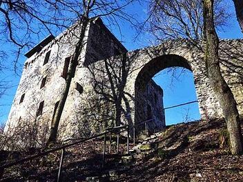 Die Ruine ist am 23. und 24. August zu besichtigen. Foto: Landratsamt