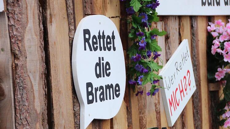 Auch  Bremsen wollen Hilfe. Foto: Benedikt Borst