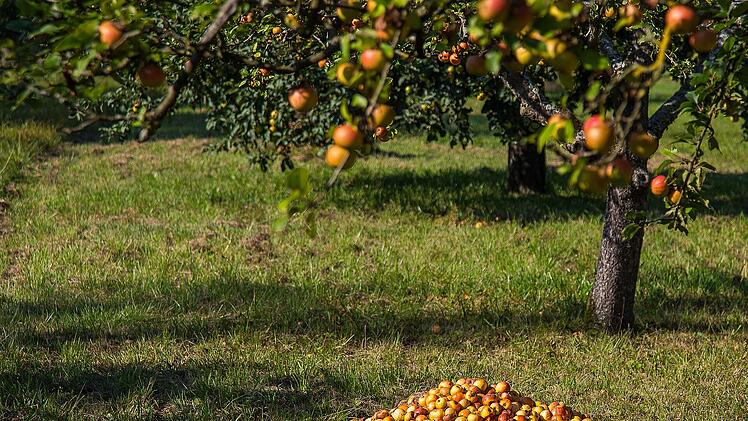 Gartenarbeit zum Herbstanfang