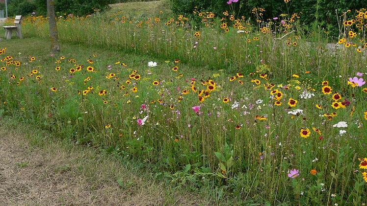 Am Ortsrand des Haßfurter Stadtteils Sylbach hat sich der Obst- und Gartenbauverein Sylbach auf diese Weise "verewigt".