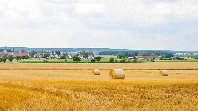 Foto: Bernhard Panzer