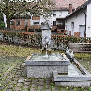 03.01.2016  Fotoreportage Lützelbuch