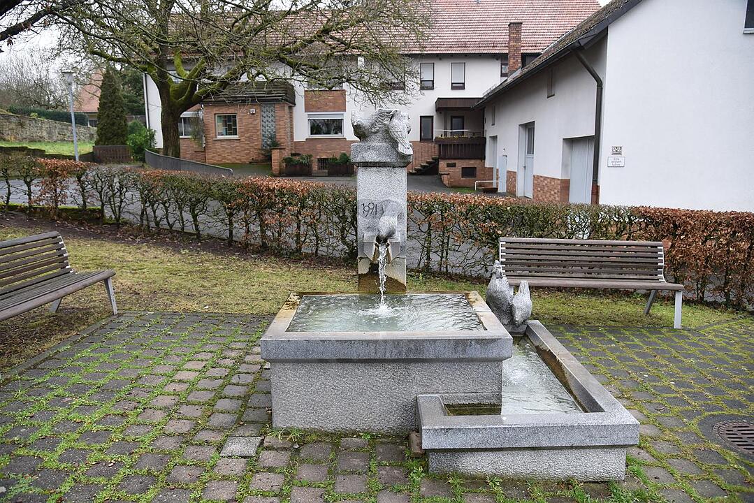 03.01.2016  Fotoreportage Lützelbuch