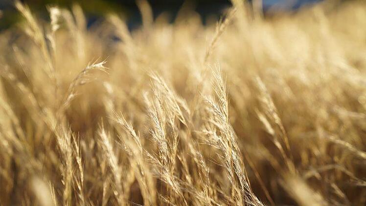 Derzeit beschäftigen hohe Temperaturen die Region. Die Wetterperiode steht wohl erst am Anfang. Das Thermometer scheint weiter zu steigen.  Symbolbild: pixabay.com/SpencerWing