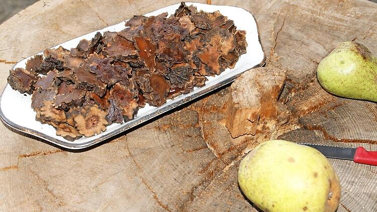 Aus Birnen werden in Fatschenbrunn Hutzel. Die Trockenfrüchte, die einst Matrosen vor Skorbut bewahrten und auch in langen Steigerwald-Wintern Vitamine spendeten, könnten heute als "Super-Food" bezeichnet werden und brauchen sich hinter Chia-Samen und Quinoa nicht zu verstecken. Fotos: Sabine Weinbeer