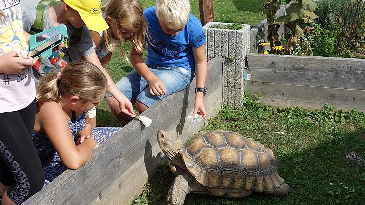 Zu Besuch bei Otto und Susi Schildkr&ouml;te