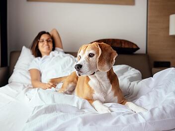Hundefreundliche Hotels & Unterkünfte