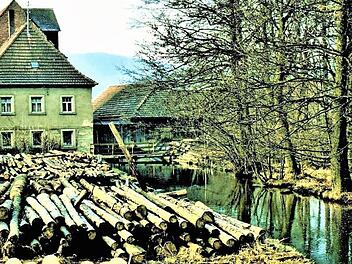 Die Hasslacher Schneid- und Mahlmühle mit Mühlgraben im Jahre 1980.  Fotos: Gerd Fleischmann