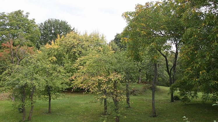 Auf der kleinen Anhebung inmitten der Obstbäume stand früher wohl ein Turm.