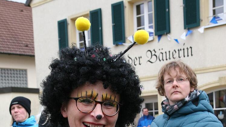 Beim Faschingszug in HirschaidWerner Baier