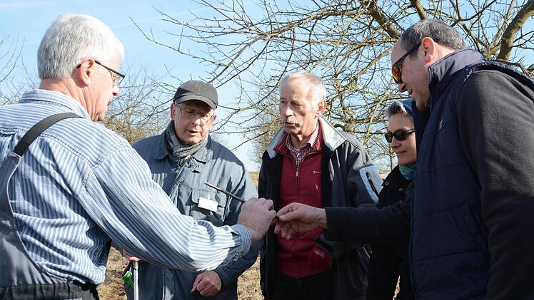 Edwin Fella zeigt die verschiedenen Veredlungsmethoden, die man im Frühjahr anwenden kann.  Foto: Gerd Schaar